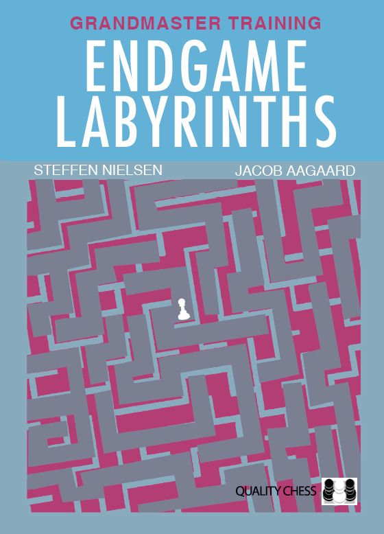 Endgame Labyrinths by Steffen Nielsen, Jacob Aagaard (miękka okładka) - Endgame Labyrinths by Steffen Nielsen, Jacob Aagaard (miękka okładka)