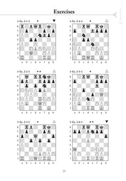 Chess Evolution 2 by Artur Yusupov (miękka okładka)