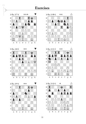 Chess Evolution 2 by Artur Yusupov (miękka okładka)