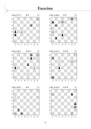 Chess Evolution 3 - Mastery by Artur Yusupov (miękka okładka)