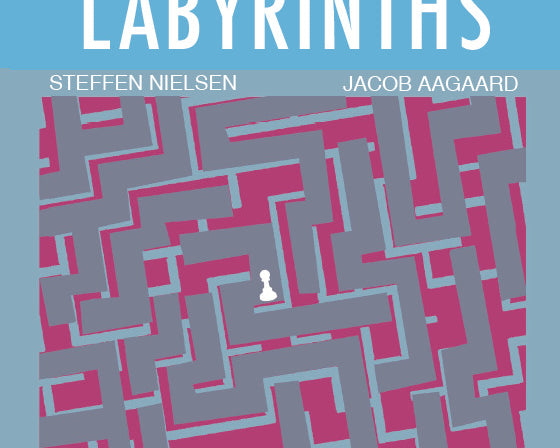 endgame-labyrinths-by-jacob-aagaard-and-steffen-nielsen-twarda-okladka-9781784831530.jpg