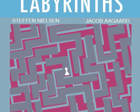 endgame-labyrinths-by-steffen-nielsen-jacob-aagaard-miekka-okladka-9781784831523_d2aa05de-7b41-4b97-a38d-84b38f32bce1.jpg
