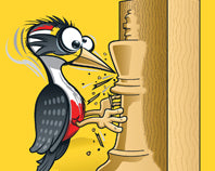 the-woodpecker-method-by-axel-smith-and-hans-tikkanen-miekka-okladka-9781784832766.jpg