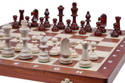 TORNEO N.º 6 BOX