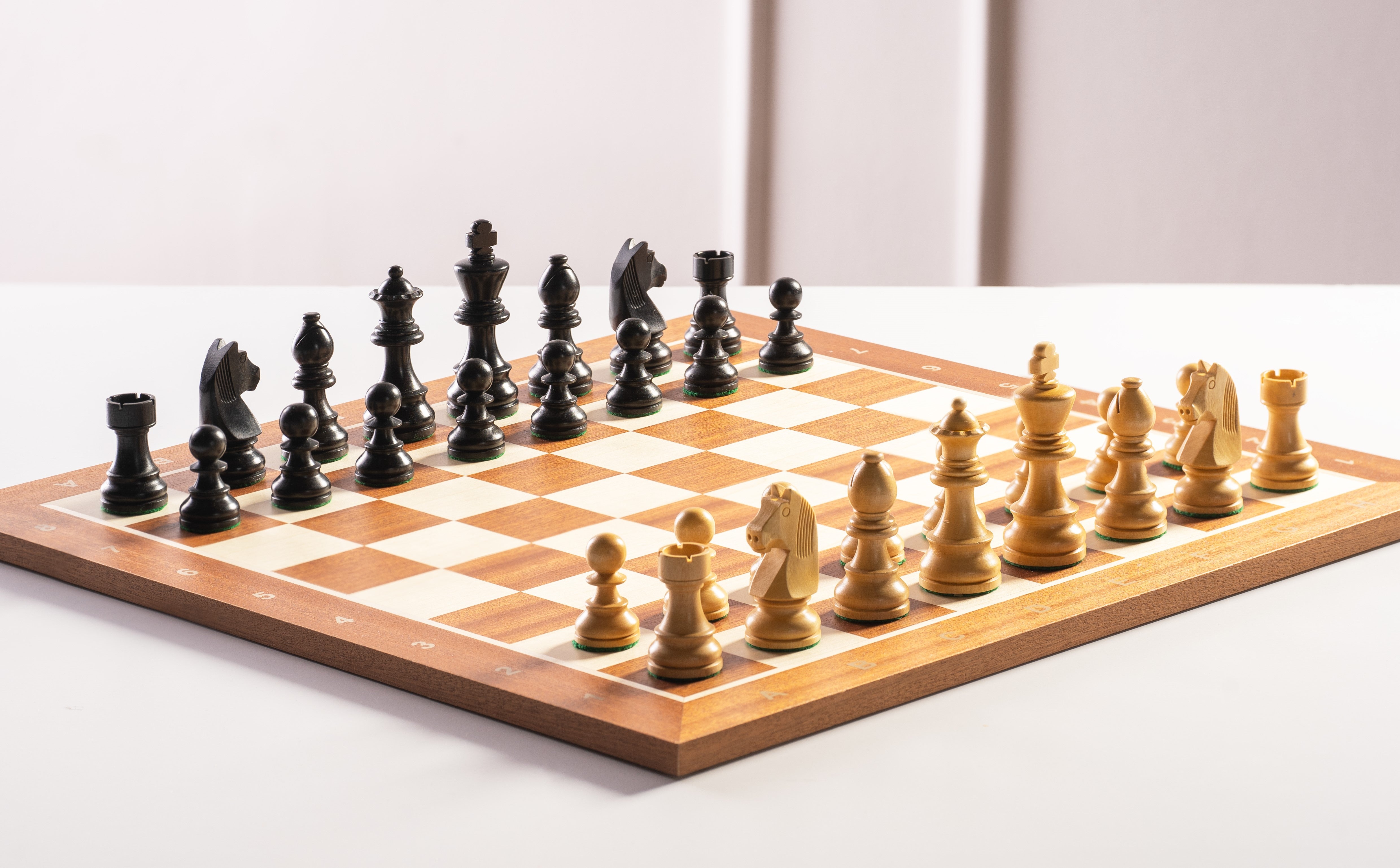 Tournament chess set No. 5 - 50mm board + German Knight 3.5" pieces - Tournament chess set No. 5 - 50mm board + German Knight 3.5" pieces